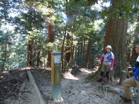 登山道